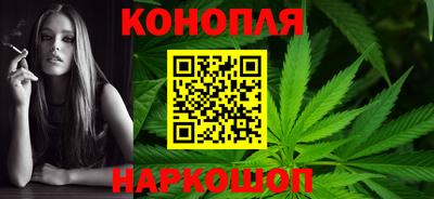 крисы Кандалакша