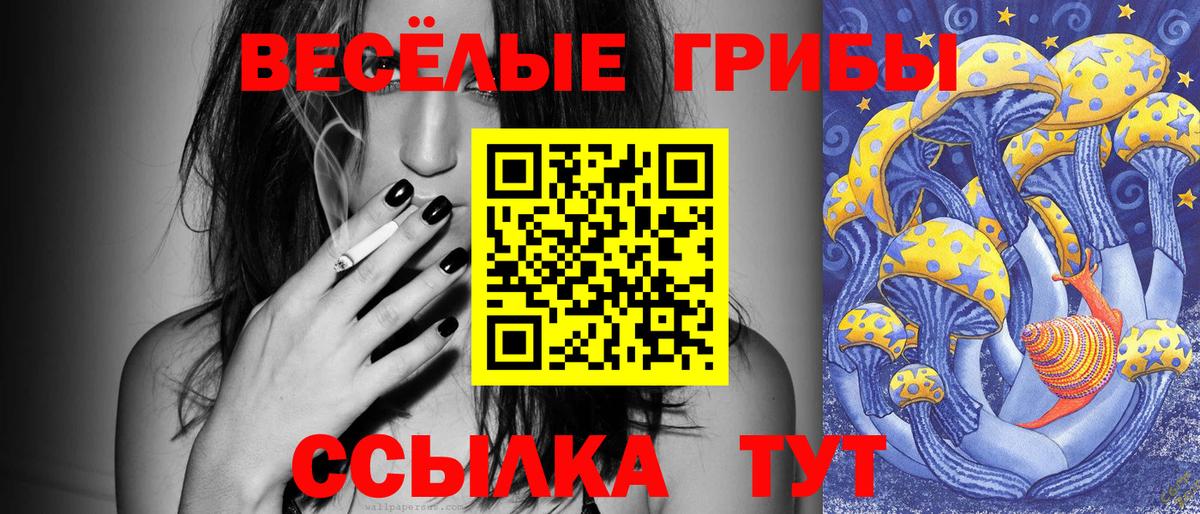 Псилоцибиновые грибы прущие грибы  Псилоцибиновые грибы прущие грибы  Красноярск  Вход с VPN 