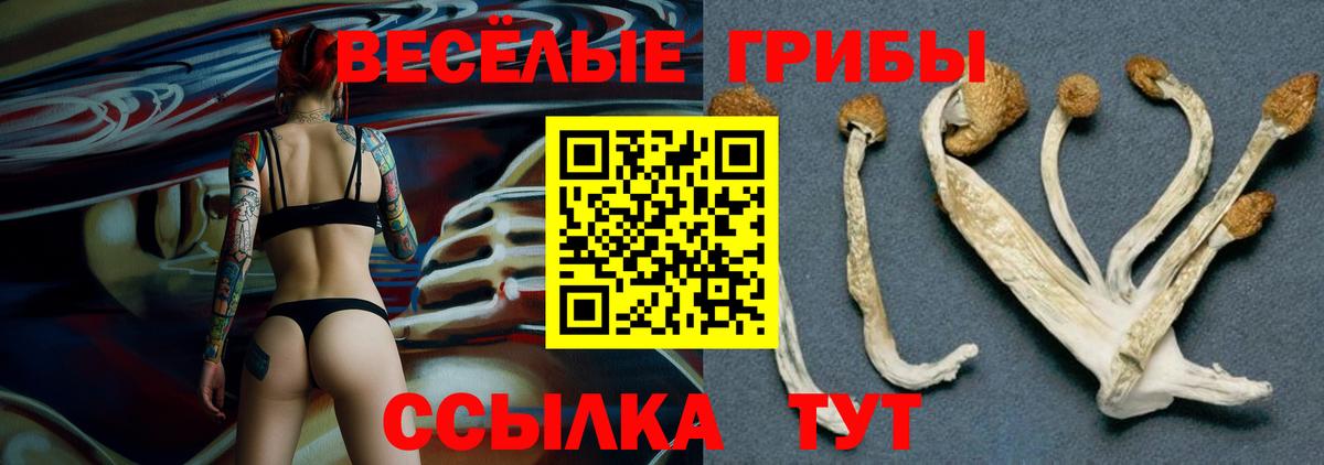 Псилоцибиновые грибы ЛСД Красноярск